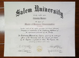 Salem College degree