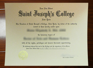 St. Joseph's University degree