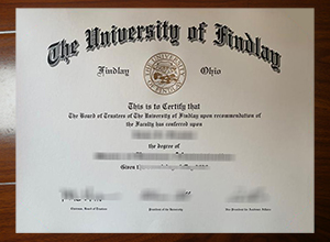 University of Findlay degree