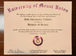 University of Mount Union degree