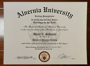 Alvernia University degree