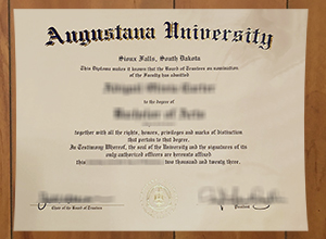 Augustana University degree