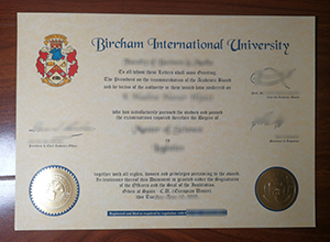 Bircham International University degree