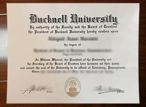 Bucknell University degree