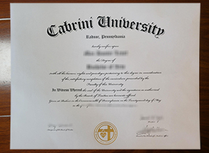 Cabrini University degree