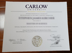 Carlow University degree