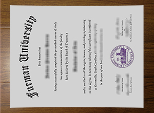 Furman University degree