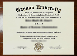 Gannon University degree