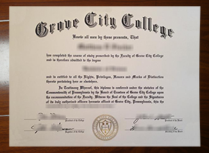 Grove City College degree