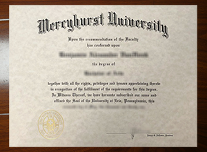 Mercyhurst University degree