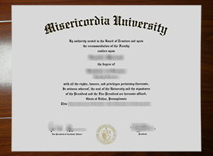 Misericordia University degree