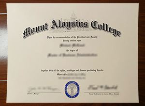 Mount Aloysius College degree