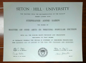 Seton Hill University degree