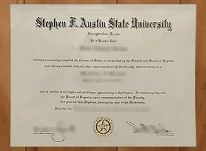 Stephen F. Austin State University degree