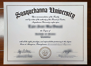 Susquehanna University degree