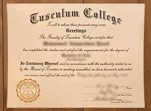 Tusculum College degree