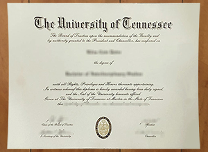 University of Tennessee at Martin degree