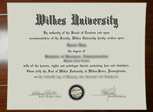 Wilkes University degree