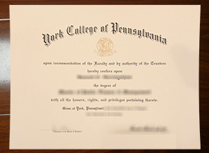 York College of Pennsylvania diploma