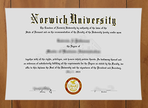 Norwich University degree