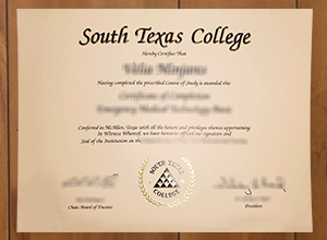 South Texas College degree