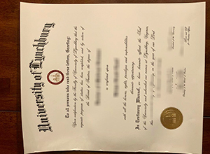 University of Lynchburg degree