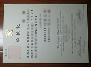 Keio University degree