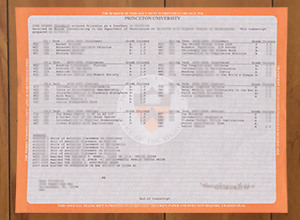 Princeton University transcript