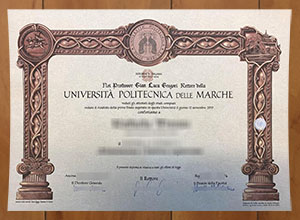 Università Politecnica delle Marche diploma