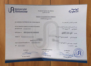 Antonine University degree