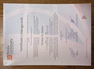 Breda University of Applied Sciences diploma