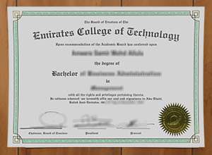 Emirates College of Technology degree