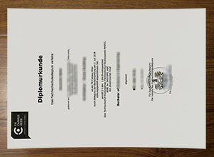 Fachhochschule Campus Wien diploma