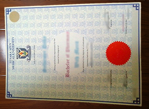 Lusaka Apex Medical University diploma