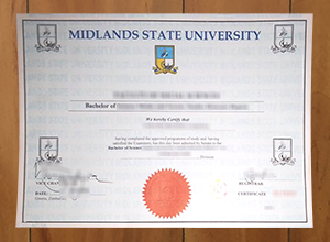 Midlands State University diploma