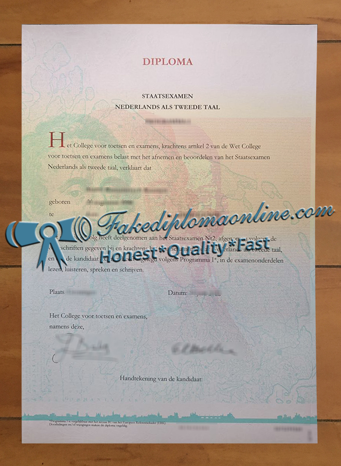 Nederlands Talen Instituut diploma