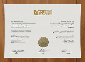 Notre Dame University–Louaize degree