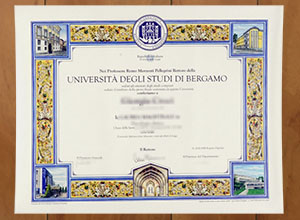 Università degli Studi di Bergamo degree