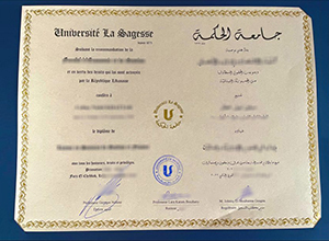 Université La Sagesse degree