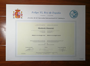 International University of Catalonia degree