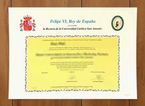 Universidad Católica San Antonio degree