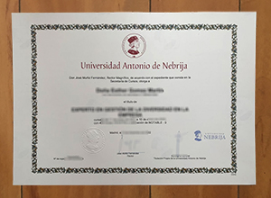 Universidad Nebrija degree