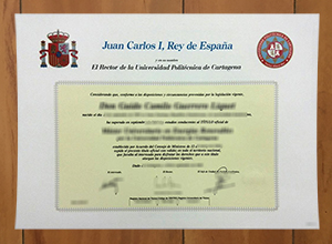 Universidad Politécnica de Cartagena degree