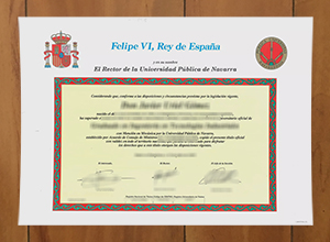 Universidad Pública de Navarra degree