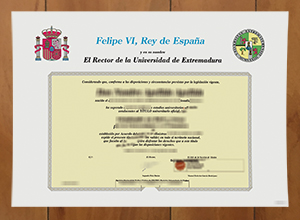 Universidad de Extremadura degree