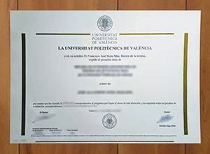 Universitat Politècnica de València degree