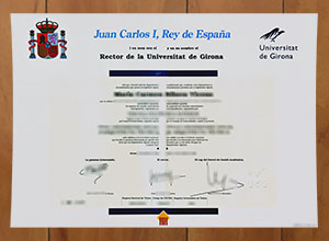 Universitat de Girona diploma