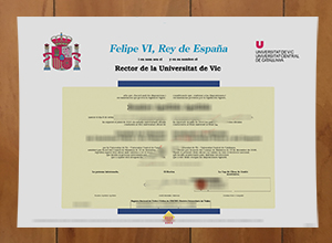 Universidad de Vic - Universidad Central de Cataluña diploma