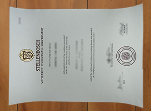 Stellenbosch University degree