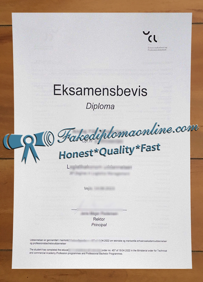  Erhvervsakademi og Professionshøjskole diploma